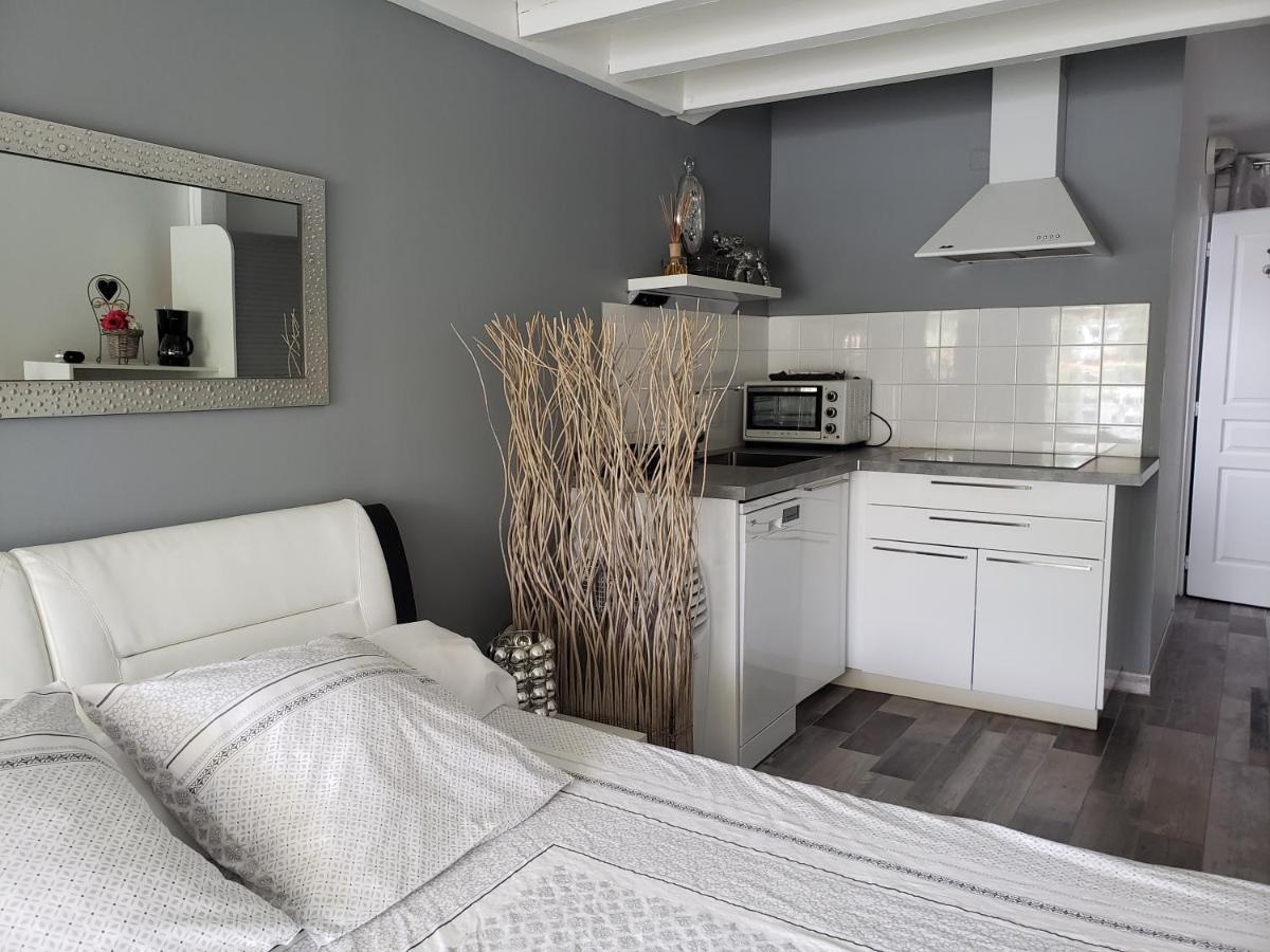 Studio Zure Ondoan - Spa Et Piscine Chauffee Tarnos Ngoại thất bức ảnh